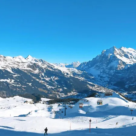 Smaragd-1 By Interhome * Grindelwald